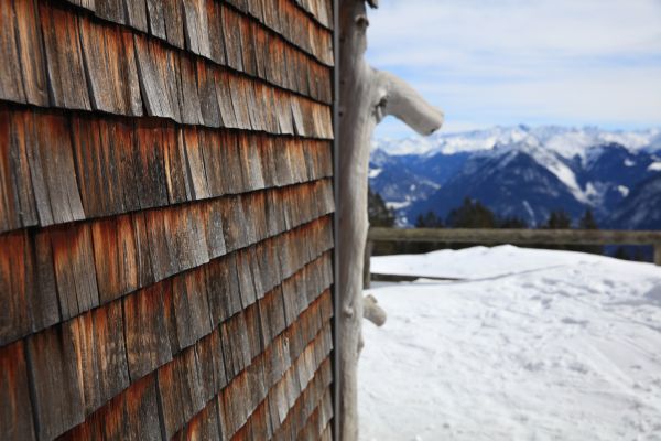 Cost of Cedar Siding Repair in Bronx