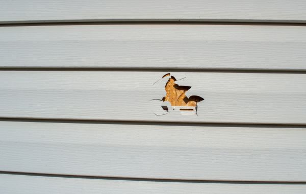 Cost of Siding Hole Patching in Bronx