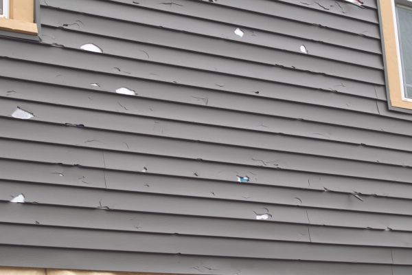 Cost of Damaged Siding Replacement in Bronx